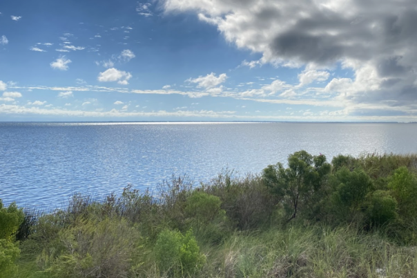 a view of st joseph bay from the Bayview trail on a partly cloudy day.