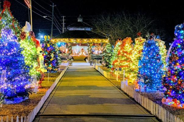 Christmas tree trail at the Oneonta Christmas parade.