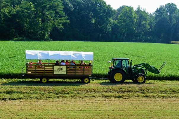 Enjoy the tractor-pulled hayride at Sonlight Farms in Kenly, NC.