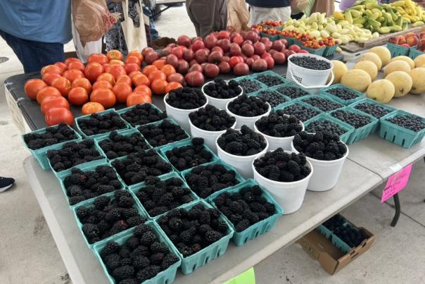 Downtown Hickory Farmers Market