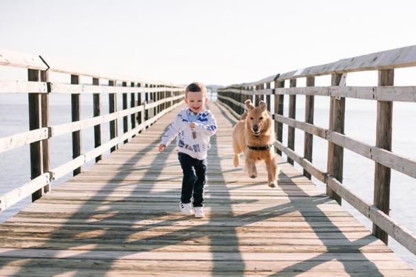 dog and child running on bridge