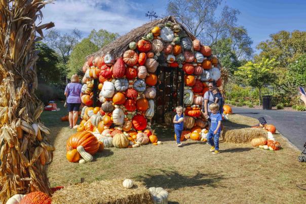 Young children playing around Pumpkin House at Franklin Park Conservatory and Botanical Gardens