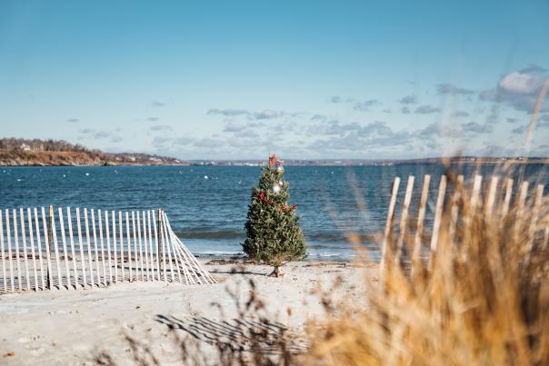 Third Beach Christmas Tree
