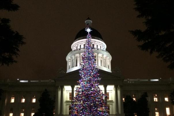 Capitol Christmas Tree Holiday