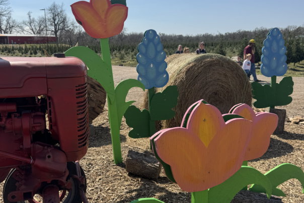 Sweet Eats Fruit Farm