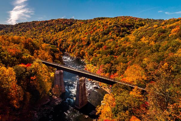 Stunning Aerial Fall Foliage View from Great Allegheny Passage rail trail in Ohiopyle State Park