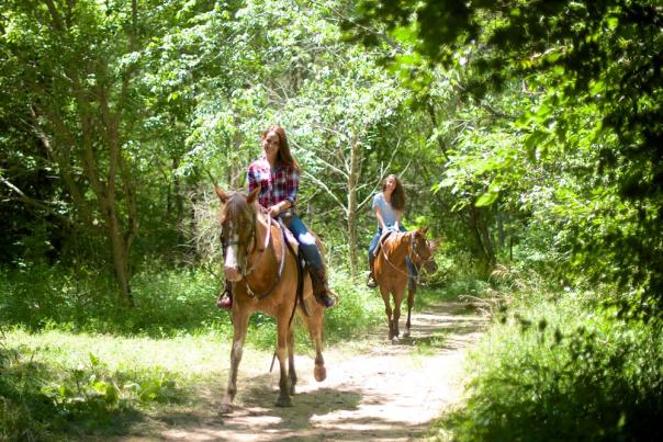 Natural Valley Ranch horseback ride