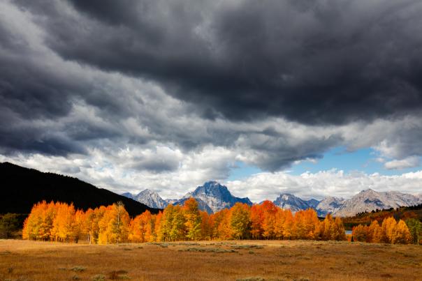 Mt Moran Fall Colors - Jay Kazen