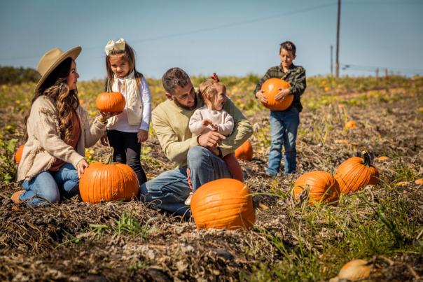 Family in pumpkin patch