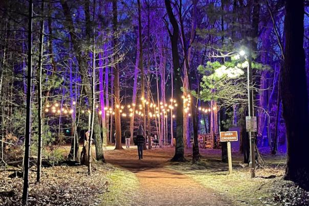 A tranquil night scene at Muskegon Luge Adventure Sports Park, featuring a pathway lined with trees illuminated by string lights and blue lights, with a person walking in the distance.
