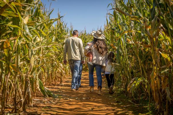 Family in Corn Maze