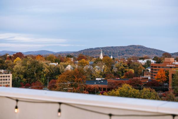 View from the Doyle Hotel Rooftop Bar