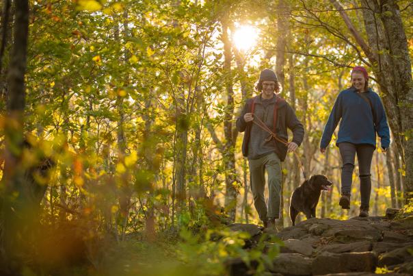 Man and woman hiking in the woods with a medium sized black dog on a leash between them.