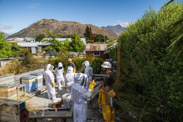 Group of people on a honey tour dressed up in bee suits looking at the hives
