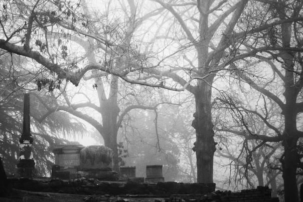 A black and white shot of a cemetery in Athens