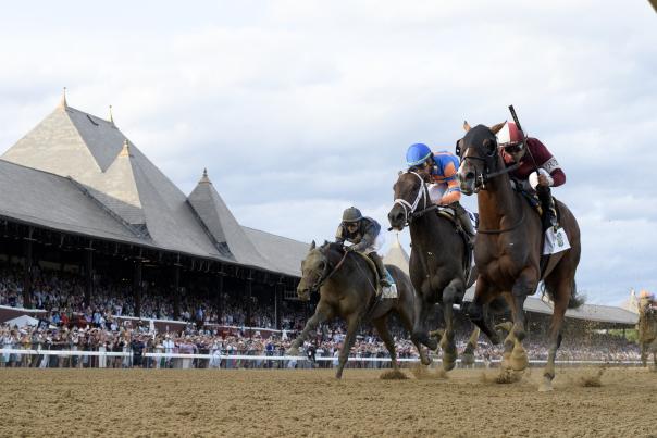 Dornoch at the Belmont Stakes 2024