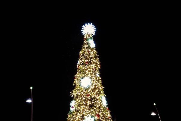 Christmas Tree Light Up Downtown Kelowna