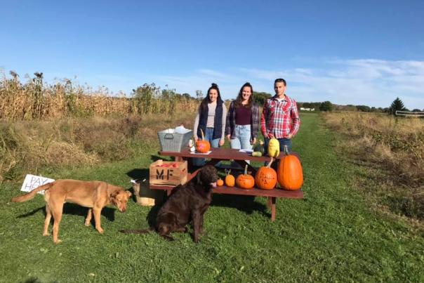 Morgan family with pumpking and pups