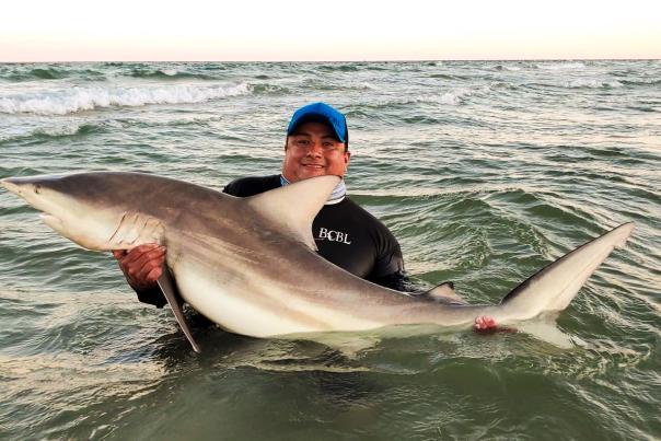 Sharkathon