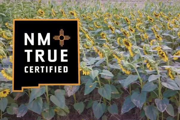 Video Thumbnail - youtube - NM TRUE CERTIFIED PROGRAM