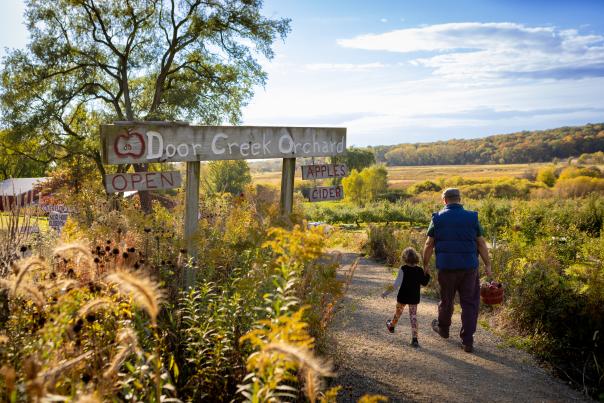 A young girl and her dad holding hands walking past the Door Creek Orchard sign holding a basket of apples they picked.