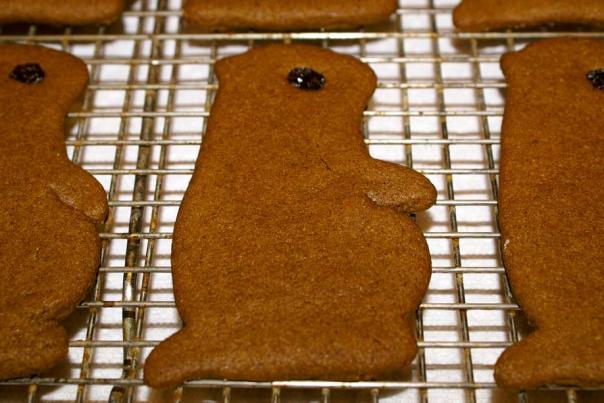 Three large ginger bread cookies shaped as Groundhogs on a cooling rack