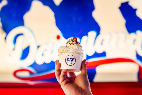 Dairyland Custard