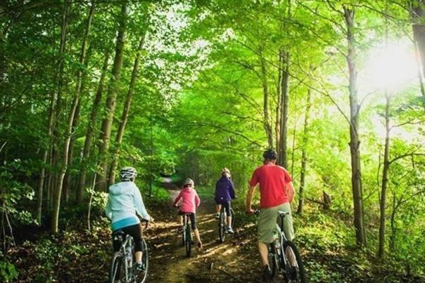 Pittock Conservation Area Cycling