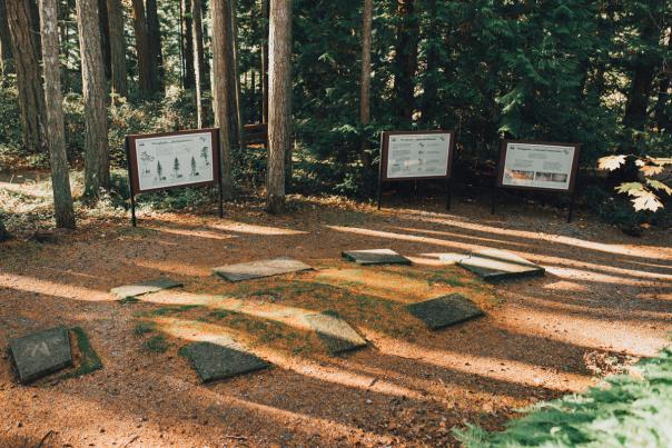 A collection of stone petroglyphs on the ground