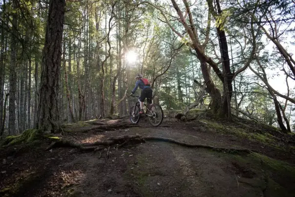 A person biking over tree roots in a forest.