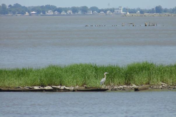 Byway Bayshore Waterfront