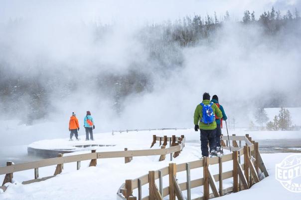 Yellowstone Winter Wonderland