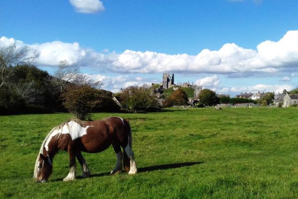 Corfe Castle village view from Corfe Common in Dorset