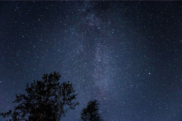 Stargazing