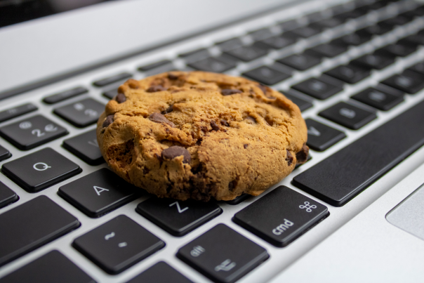 Cookie sitting on a computer keyboard