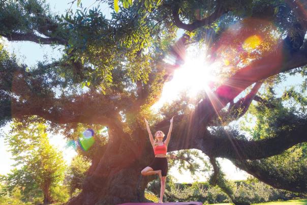 Yoga Under the Historic Sallier Oak