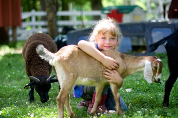 Natural Valley Ranch girl at petting zoo
