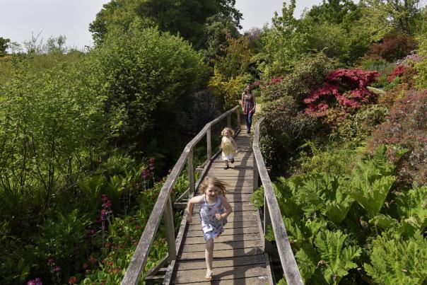 Girls running across the bridge at Furzey Gardens in the New Forest