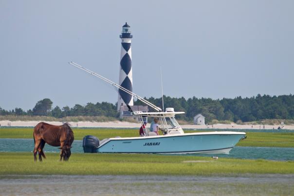 boat horse lighthouse