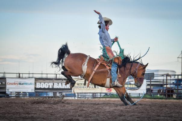 A Saddle Bronc Cowboy riding a bucking horse at the Hell on Wheels Rodeo