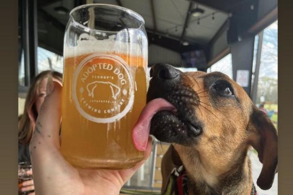 Adopted Dog Brewing