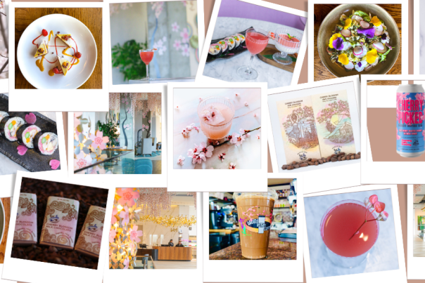 Blog Header for Cherry Blossom Blog