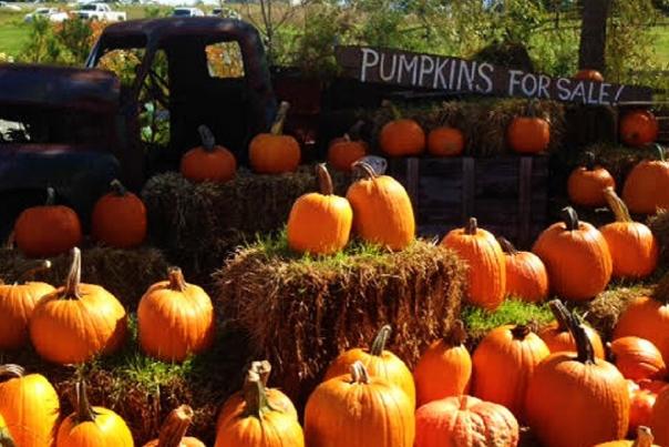 a bunch of pumpkins and hay bales placed in front of an old farm truck