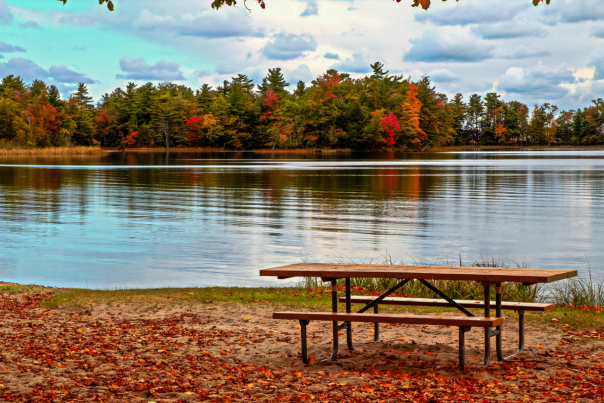 A serene lake surrounded by trees with vibrant-colored fall leaves with an empty bench across the way in Seneca County.