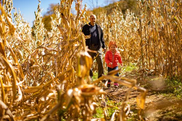 A little girl in a red puffer jacket and orange beanie races through a corn maze with a big smile. Her father follows behind.