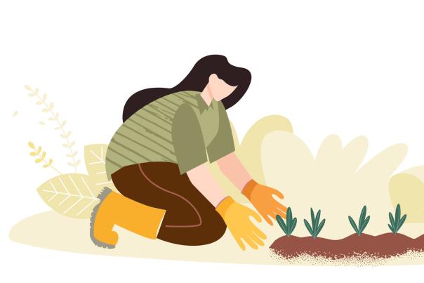 woman gardening illustration