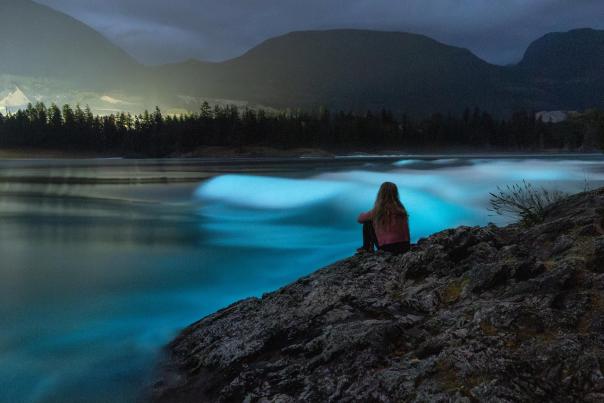 Bioluminescence