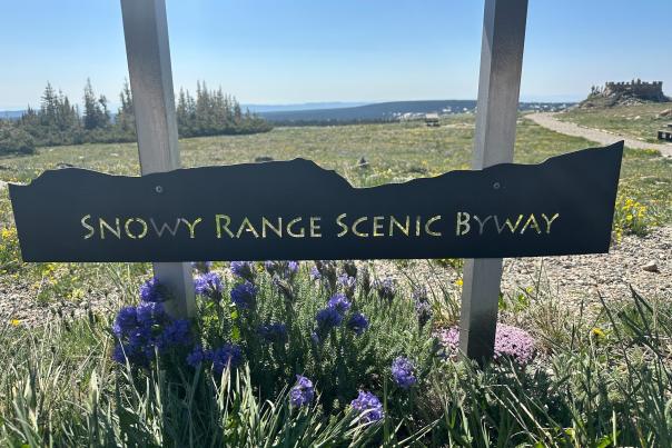 Byway Sign - Mikayla Adair & Chris Isaacs