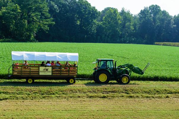 Enjoy the tractor-pulled hayride at Sonlight Farms in Kenly, NC.