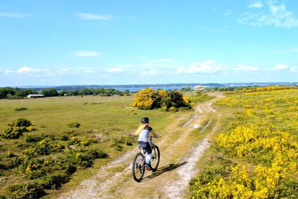 A woman cycling along a bridleway in the Dorset countryside